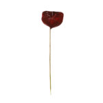 ANTHURIUM GRANDE