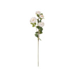 ROSA INGLESA X4 *BLANCO