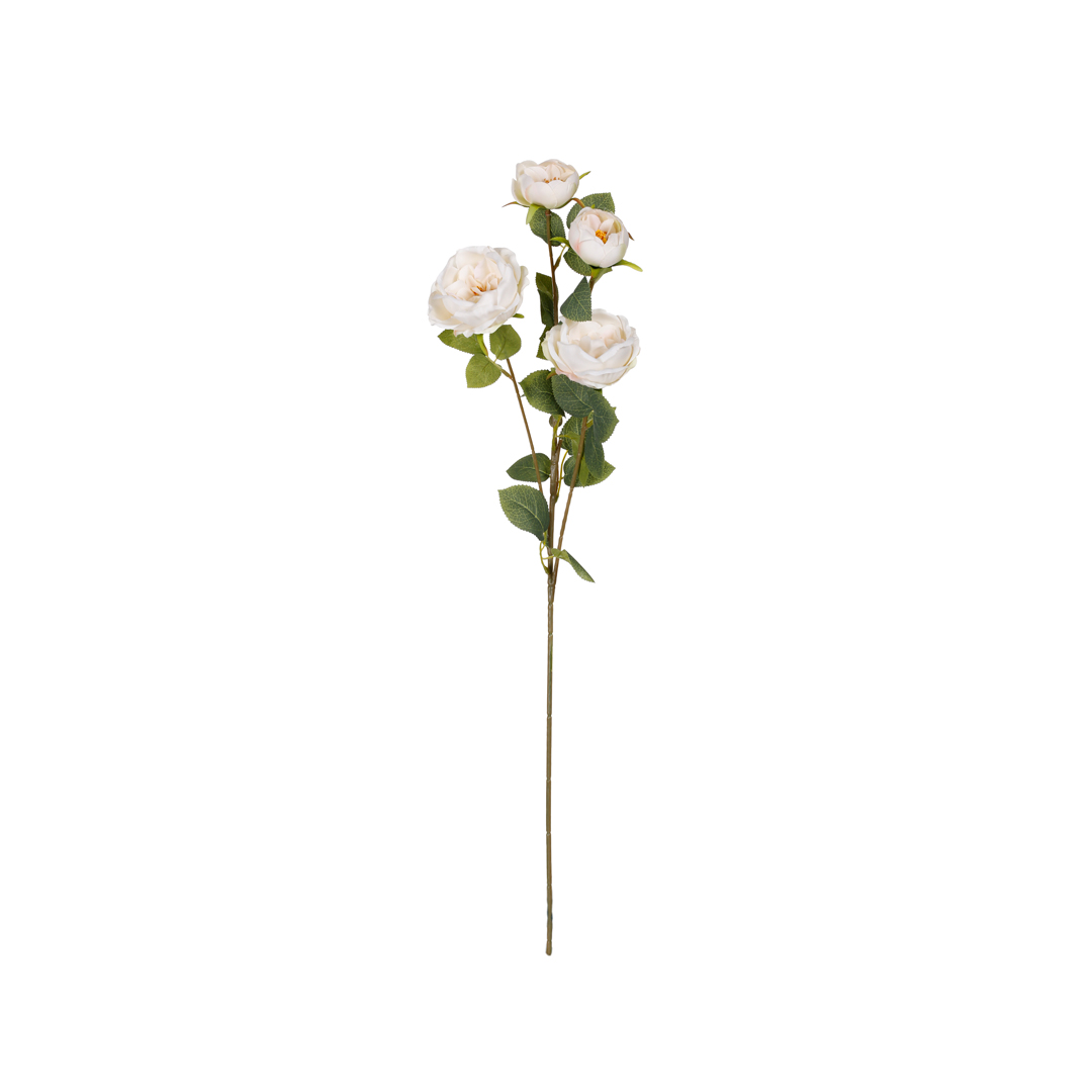 3098-0.jpg ROSA INGLESA X4 *BLANCO
