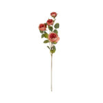 ROSA INGLESA X4 *FUXIA