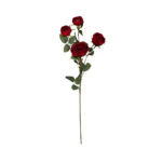 ROSA INGLESA X4 *FUXIA