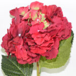 VARA HORTENSIA MEDIANA