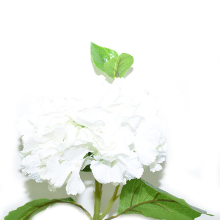 VARA HORTENSIA MICROPEACH