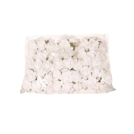 BOLSA 12 POMOS FOAM X6