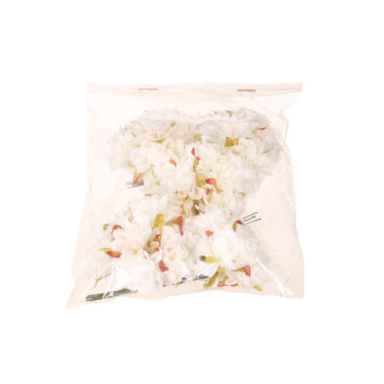 BOLSA 5 POMOS ZINNIA X6 FLORES