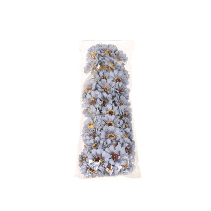 BOLSA 10 POMOS MARGARITA X6FLORES