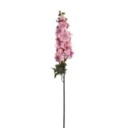 VARA DELPHINIUM (2) *ROSA