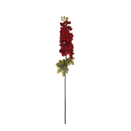 VARA DELPHINIUM