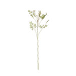 V.AROMATICAS CICLANTRO