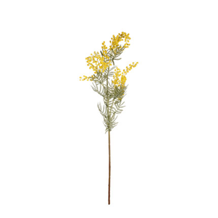 VARA MIMOSA 80CM