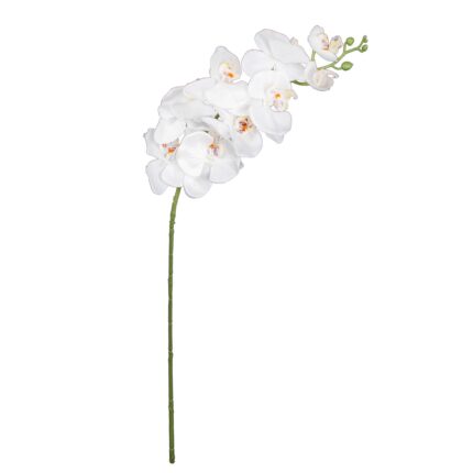 VARA ORQUIDEA *BLANCO