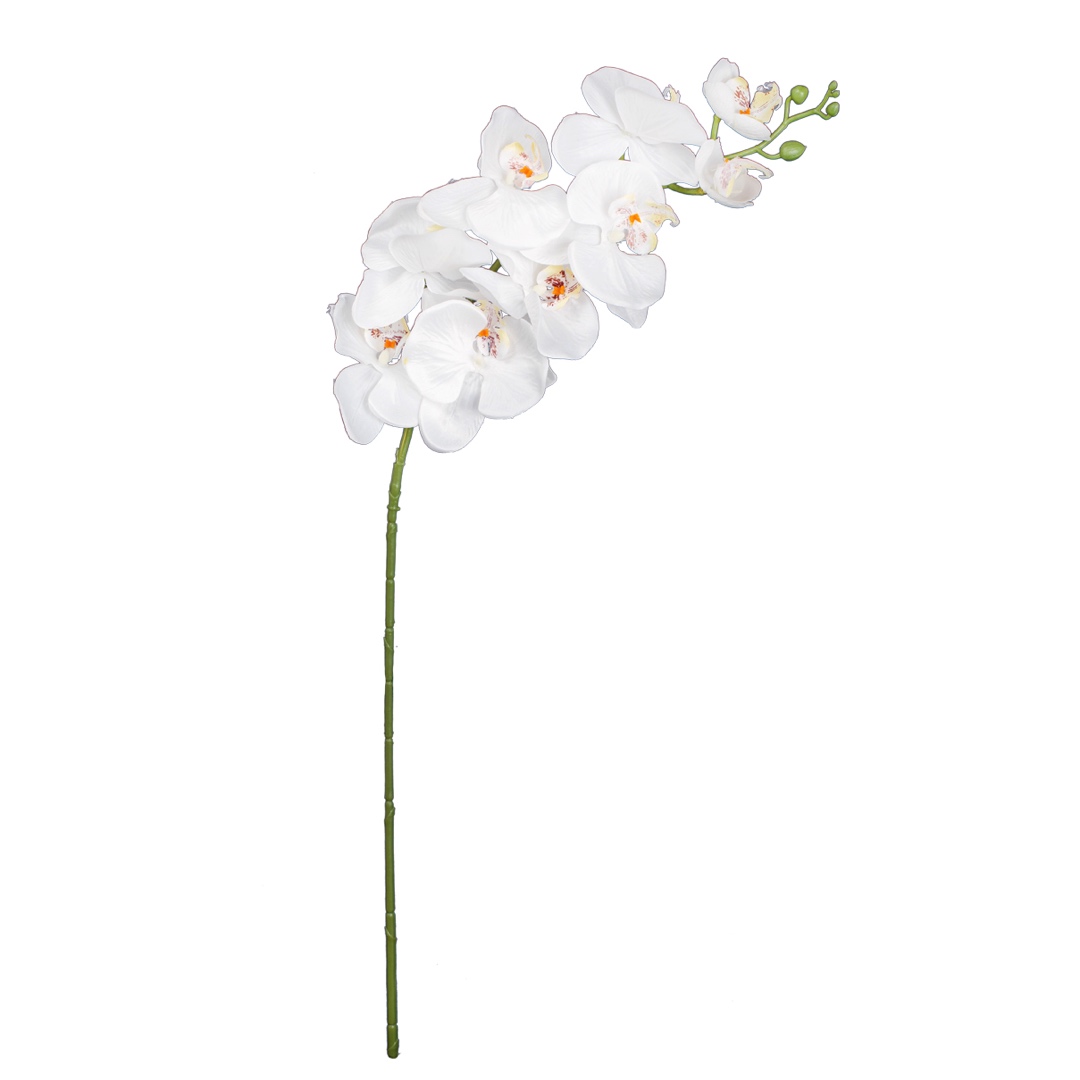 418471-0.jpg VARA ORQUIDEA *BLANCO