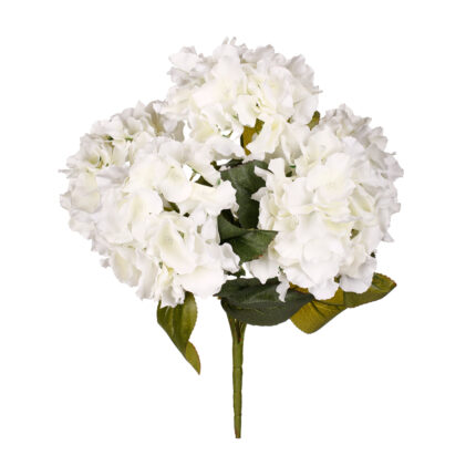 MATA HORTENSIA X5