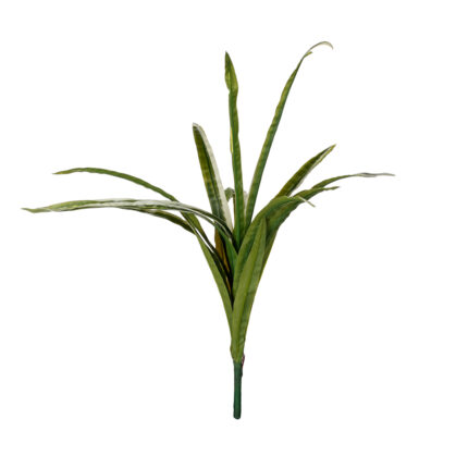 MATA HIERBA