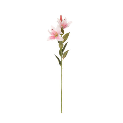 LILIUM