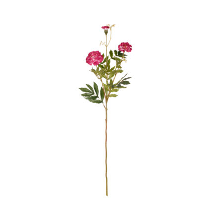 VARA MARIGOLD X3 74CM