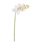 VARA ORQUIDEA MINI *BLANCO