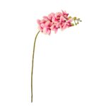 VARA ORQUIDEA MINI