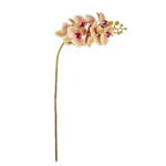 VARA ORQUIDEA MINI