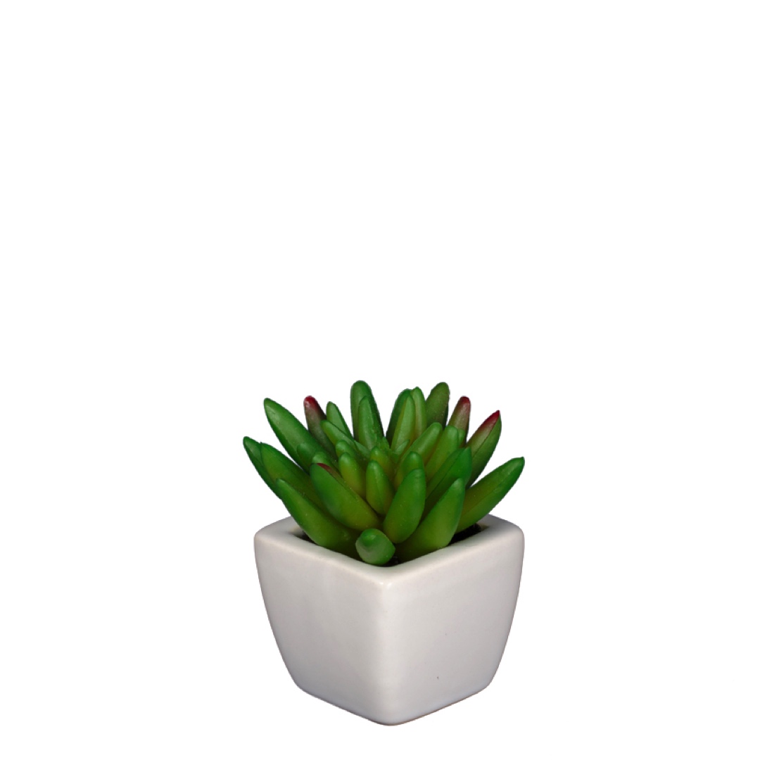 470219-99.jpg MACETITA CACTUS MINI *SURTIDO