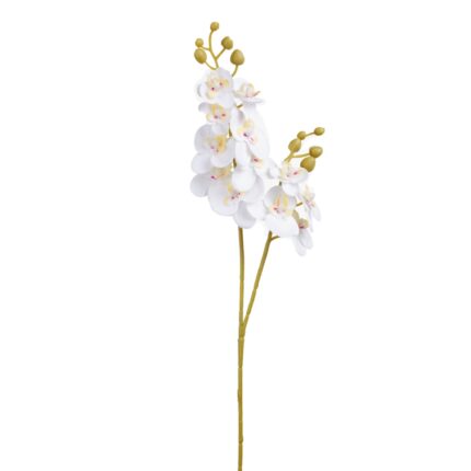 VARA ORQUIDEA MINI X2