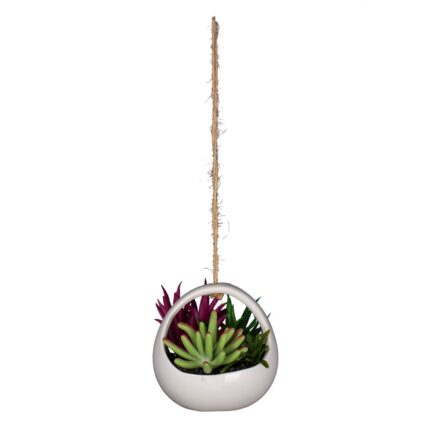 CACTUS COLGAR REDONDO *BLANCO