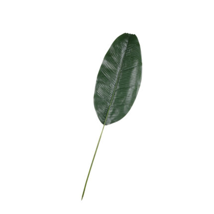 HOJA PLATANERA GIGANTE