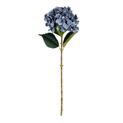 VARA HORTENSIA OTOÑAL