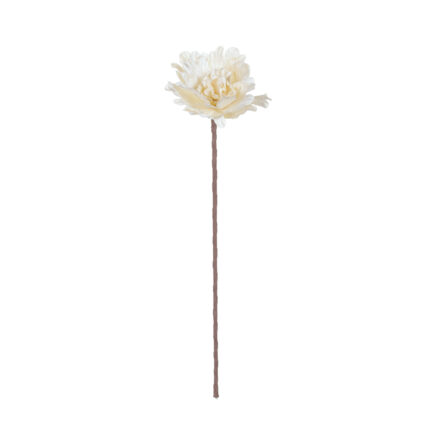PEONIA FRANELA