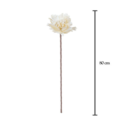 PEONIA FRANELA