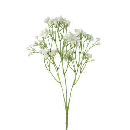 VARA GYPSO GOMA *BLANCO