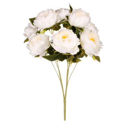 R.PEONIA X9 *BLANCO