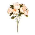 R.PEONIA X9