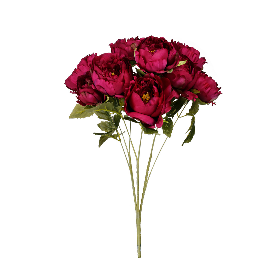 5276.jpg R.ROSAS X9