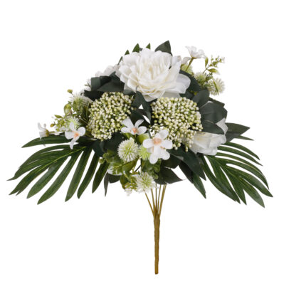 RAMO DALIA