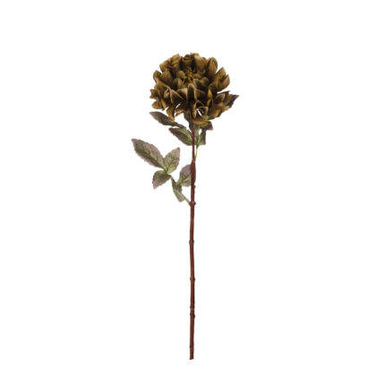 DALIA