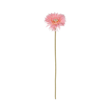 VARA GERBERA