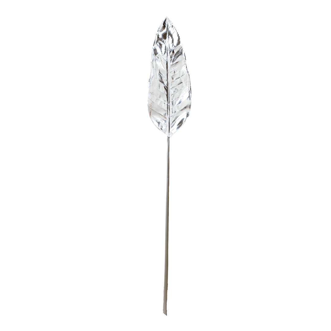 68594-14.jpg HOJA DRACENA