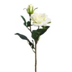 VARA ROSA TACTO NAT.X2 *BLANCO