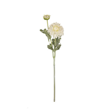 V.DALIA X 2B TACTO NATURAL *FUXIA