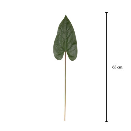 HOJA ANTHURIUM PEQ.