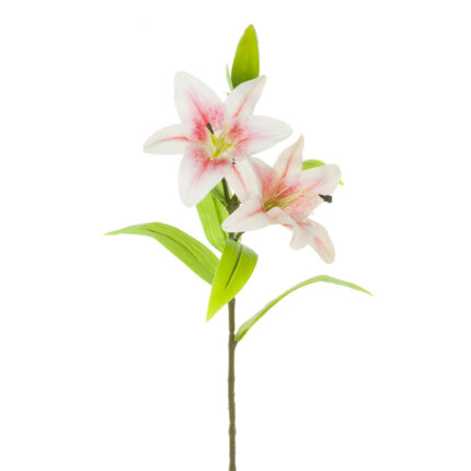 V.LILIUM X2 TACTO NAT.