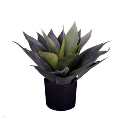 PLANTA AGAVE 52CM