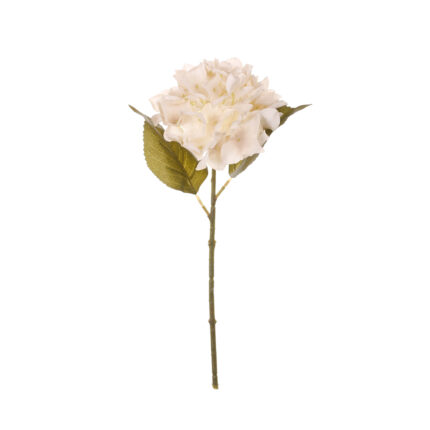 V.HORTENSIA AGUA OTOÑAL