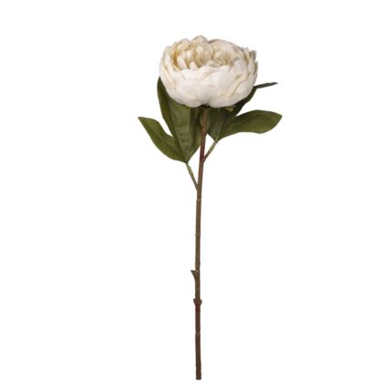 VARA PEONIA OTOÑAL *BLANCO