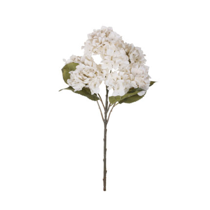 MATA HORTENSIA X7