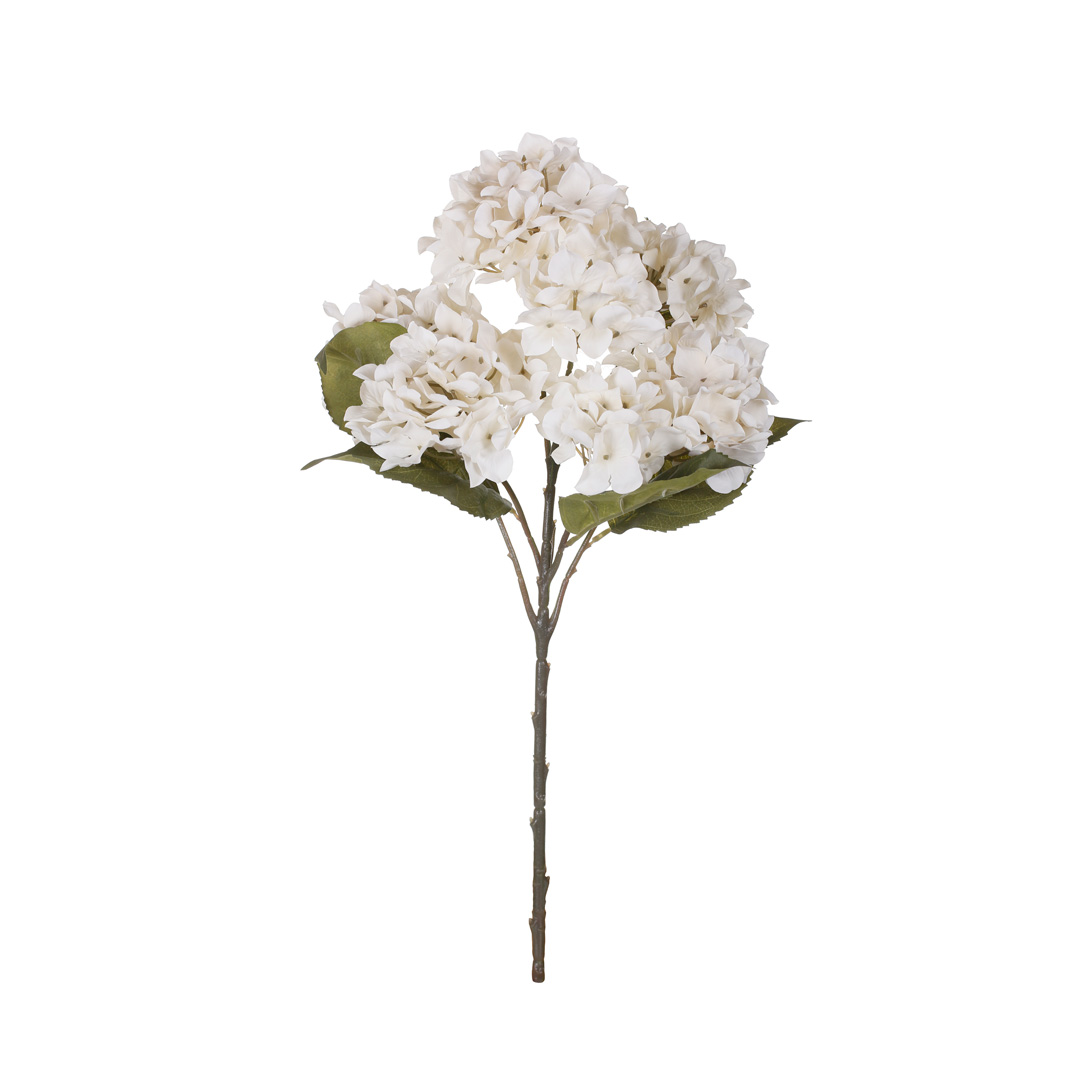 7046-0.jpg MATA HORTENSIA X7