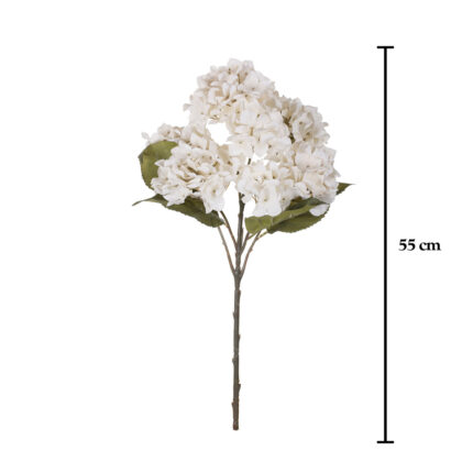 MATA HORTENSIA X7