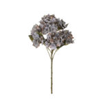MATA HORTENSIA X7