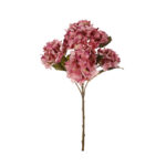 MATA HORTENSIA X7